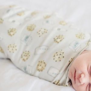 🤰🏻Copper Pearl Cookies and Milk Swaddle Blanket - NWT!